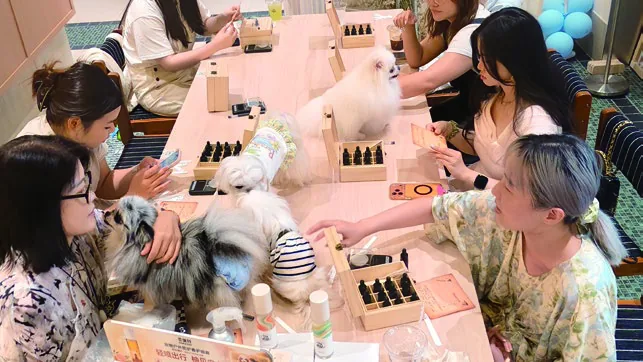 典礼上的狗