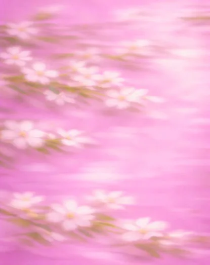 芭乐晴岚