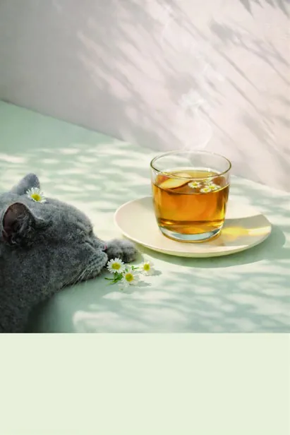 苹果洋甘菊